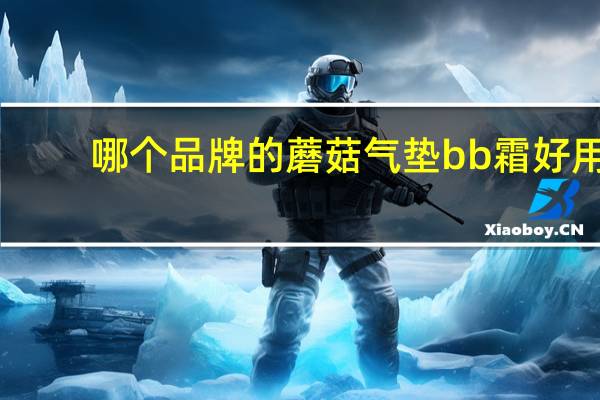 哪个品牌的蘑菇气垫bb霜好用