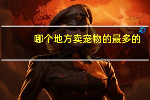 哪个地方卖宠物的最多的