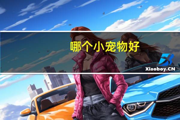 哪个小宠物好