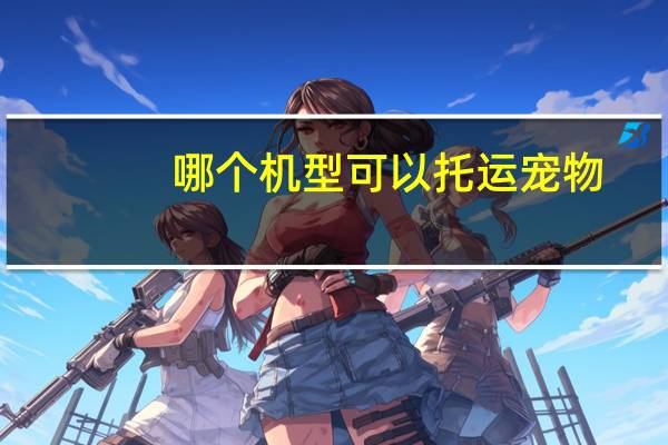 哪个机型可以托运宠物