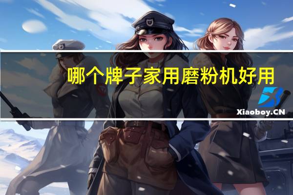 哪个牌子家用磨粉机好用