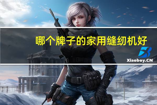 哪个牌子的家用缝纫机好