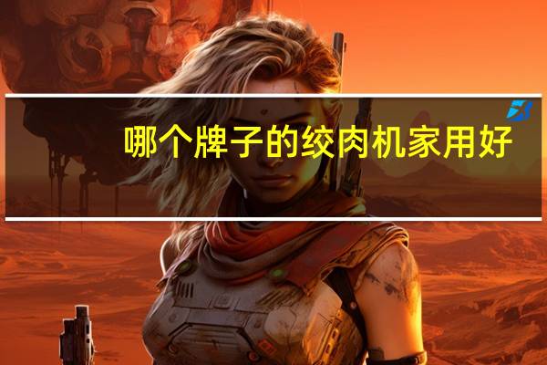 哪个牌子的绞肉机家用好