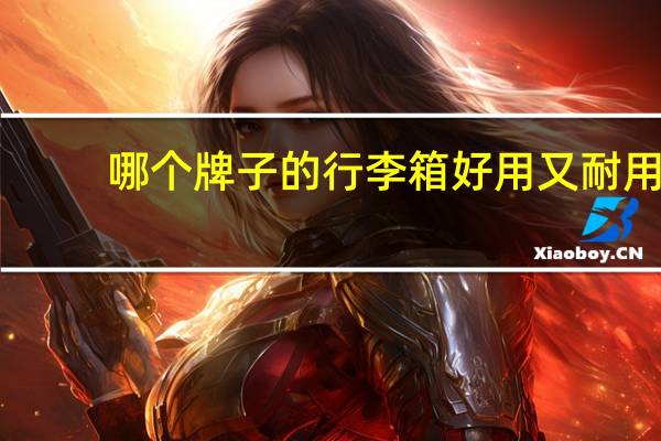 哪个牌子的行李箱好用又耐用