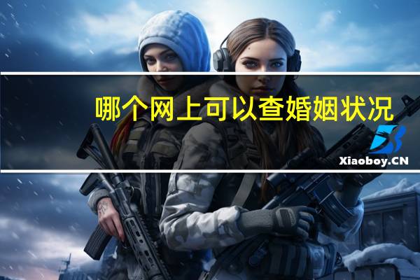 哪个网上可以查婚姻状况