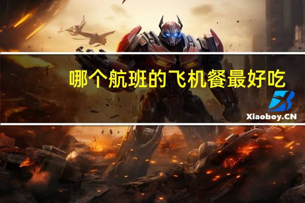 哪个航班的飞机餐最好吃