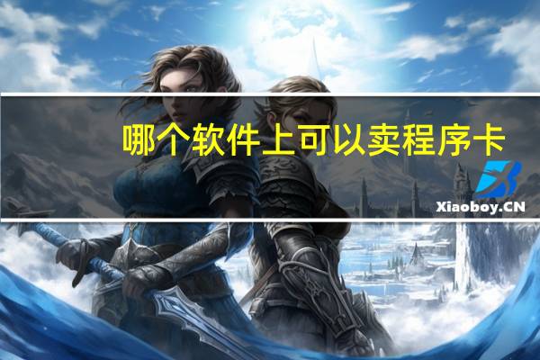 哪个软件上可以卖程序卡