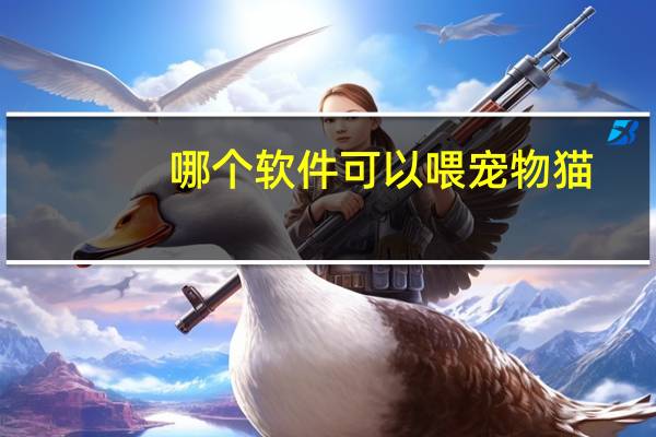 哪个软件可以喂宠物猫