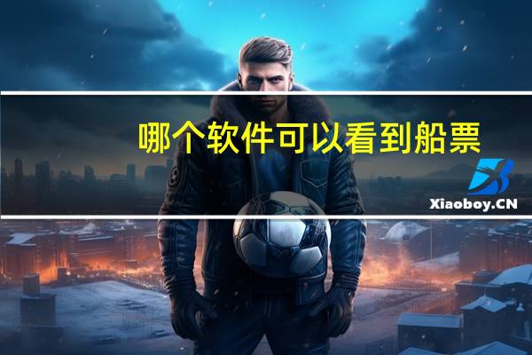 哪个软件可以看到船票