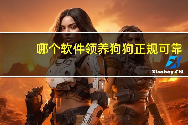 哪个软件领养狗狗正规可靠