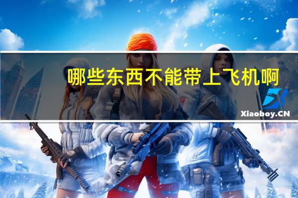 哪些东西不能带上飞机啊