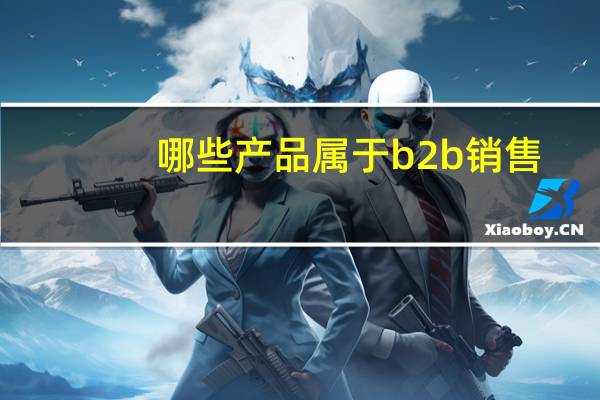 哪些产品属于b2b销售