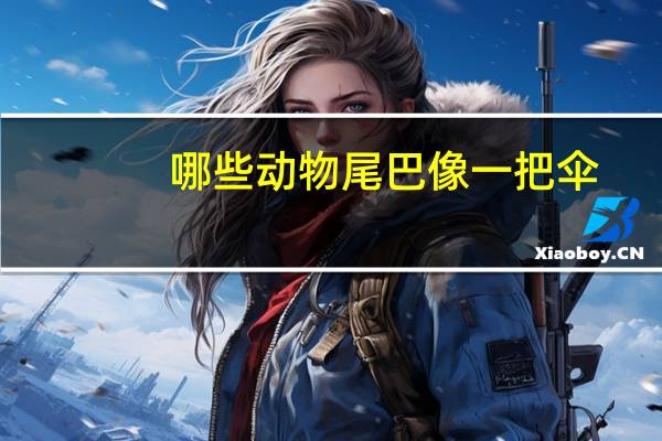 哪些动物尾巴像一把伞