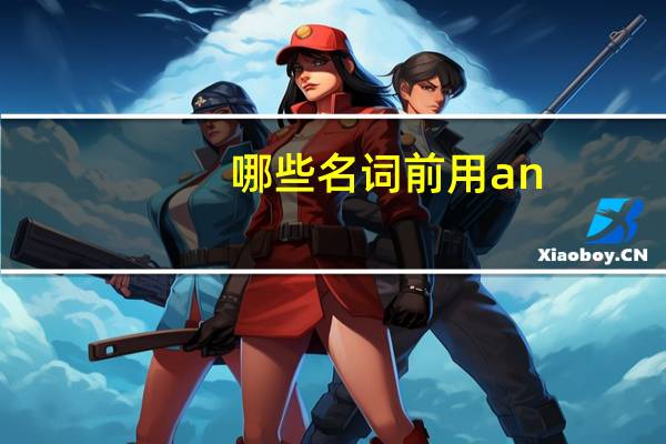 哪些名词前用an
