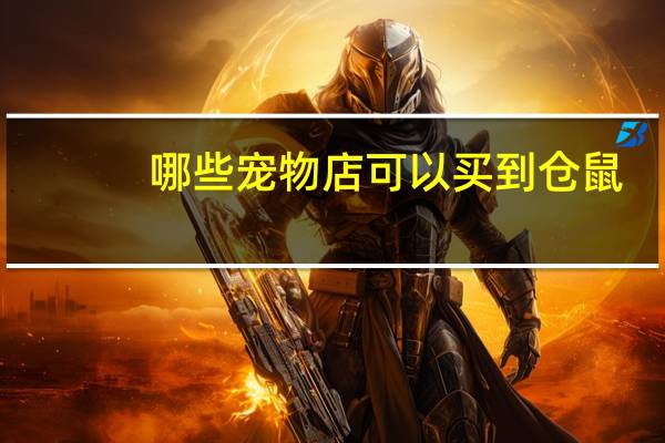 哪些宠物店可以买到仓鼠