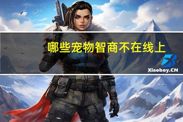 哪些宠物智商不在线上