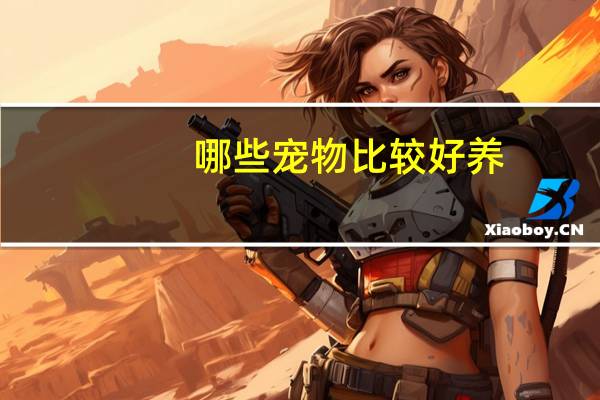 哪些宠物比较好养