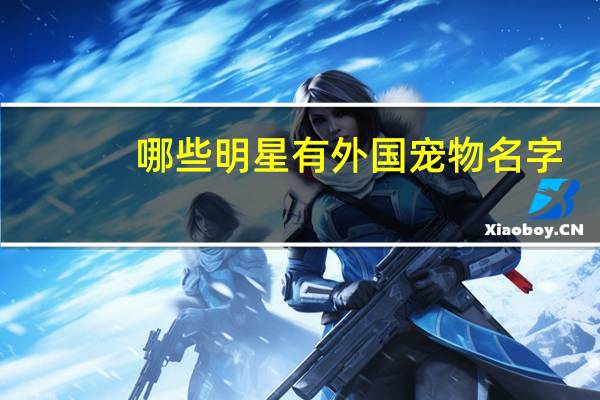 哪些明星有外国宠物名字