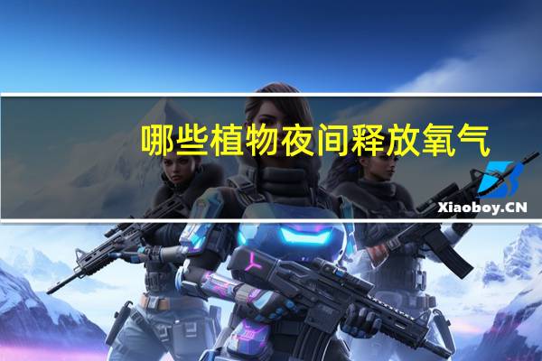 哪些植物夜间释放氧气