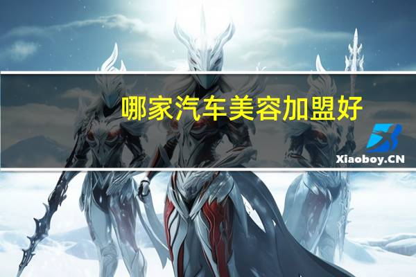 哪家汽车美容加盟好