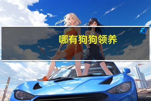 哪有狗狗领养