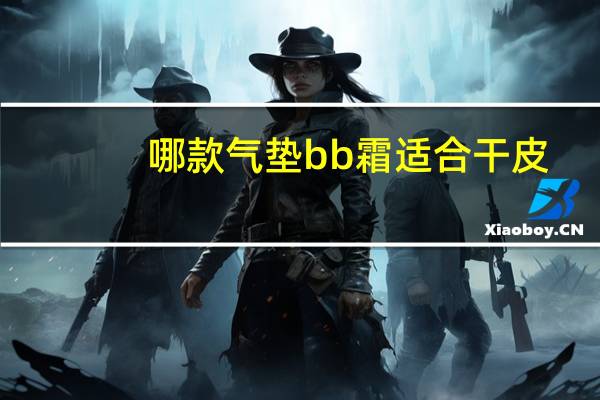 哪款气垫bb霜适合干皮