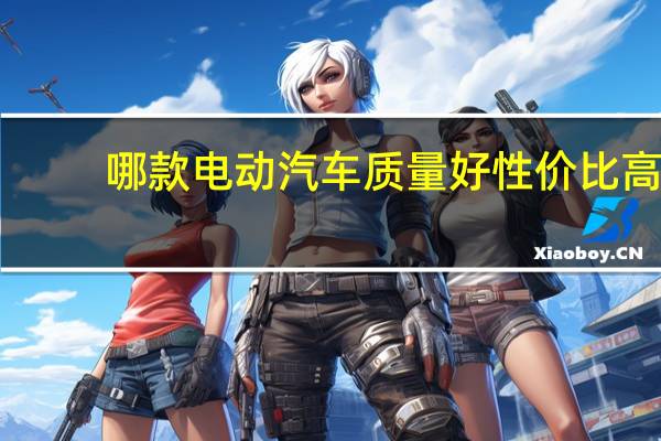 哪款电动汽车质量好性价比高