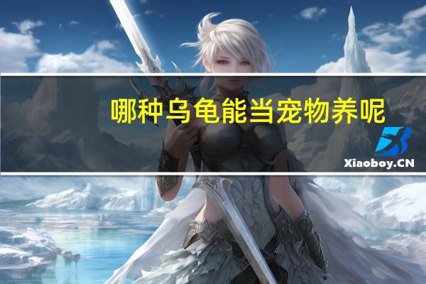 哪种乌龟能当宠物养呢