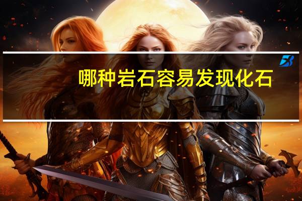 哪种岩石容易发现化石