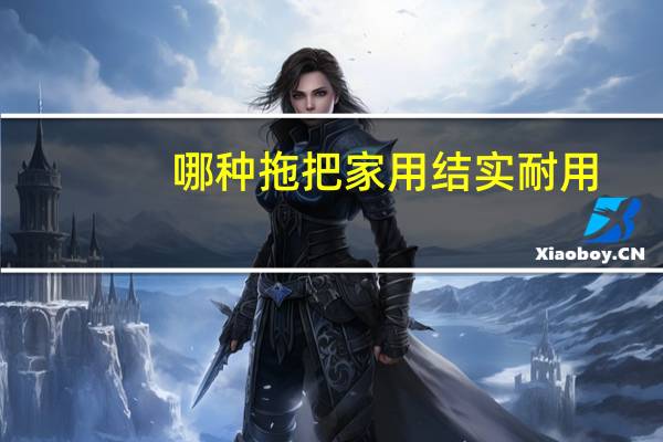 哪种拖把家用结实耐用