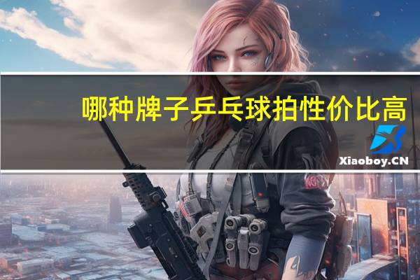 哪种牌子乒乓球拍性价比高