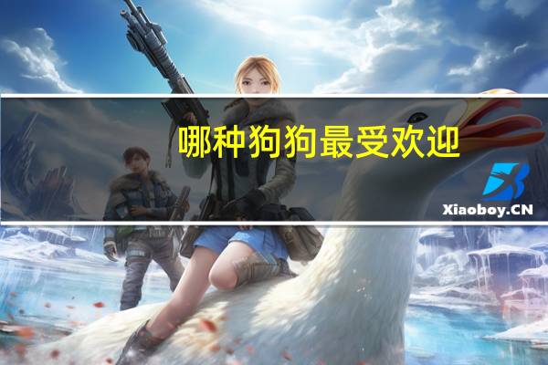 哪种狗狗最受欢迎