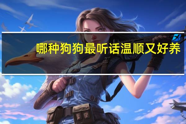 哪种狗狗最听话温顺又好养