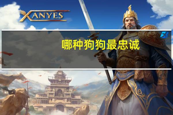 哪种狗狗最忠诚