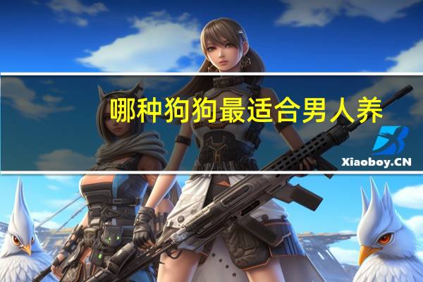 哪种狗狗最适合男人养