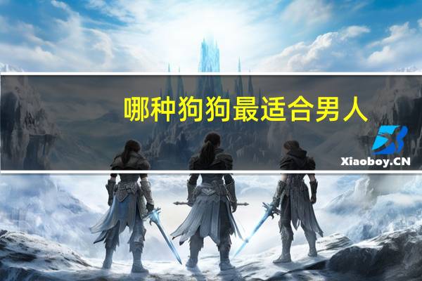 哪种狗狗最适合男人