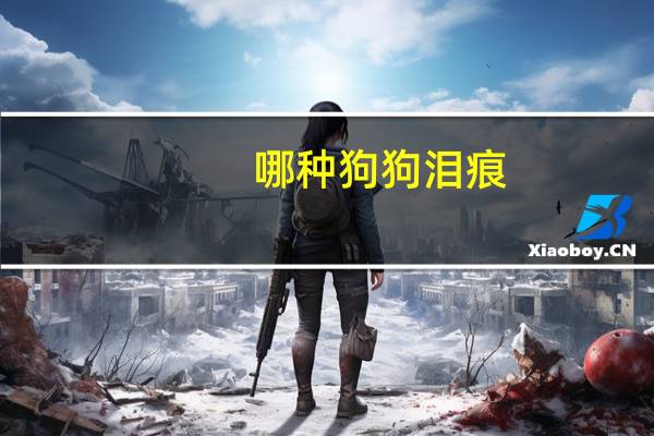 哪种狗狗泪痕