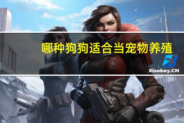 哪种狗狗适合当宠物养殖