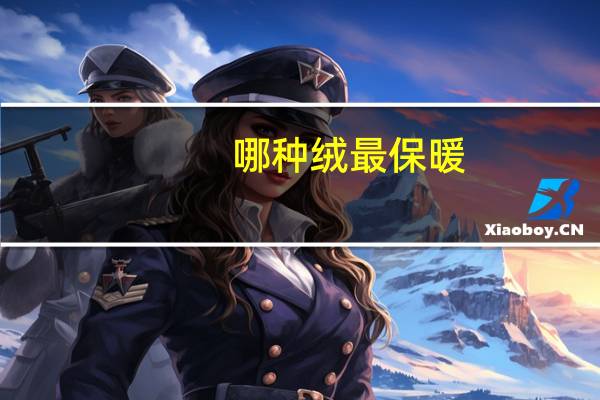 哪种绒最保暖