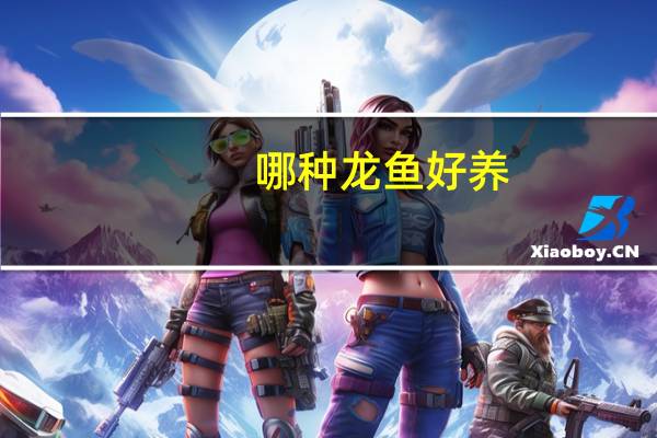 哪种龙鱼好养