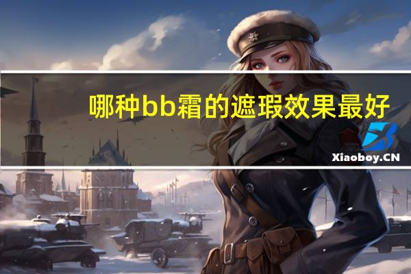 哪种bb霜的遮瑕效果最好