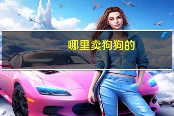哪里卖狗狗的