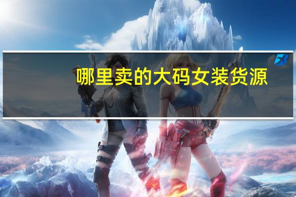 哪里卖的大码女装货源