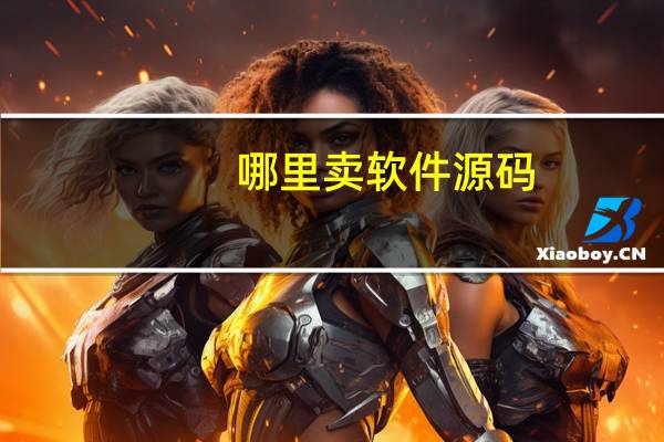 哪里卖软件源码