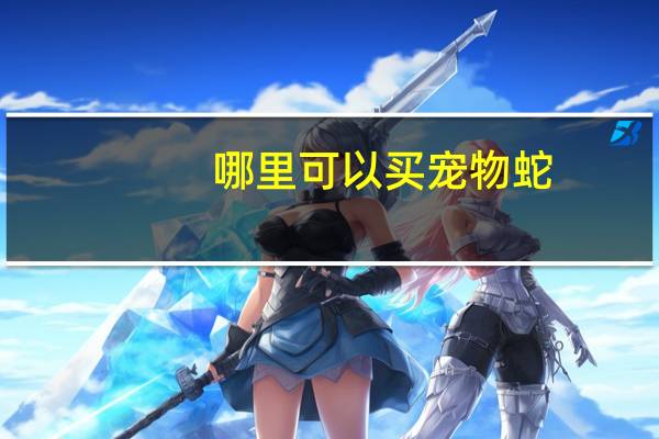 哪里可以买宠物蛇