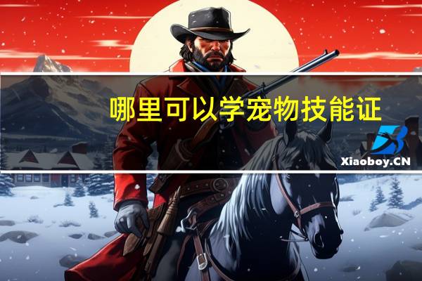 哪里可以学宠物技能证