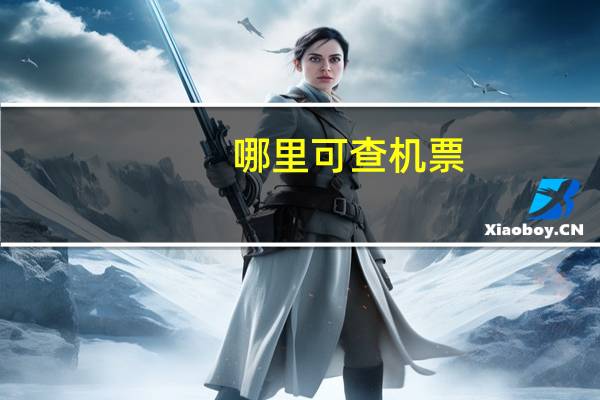 哪里可查机票
