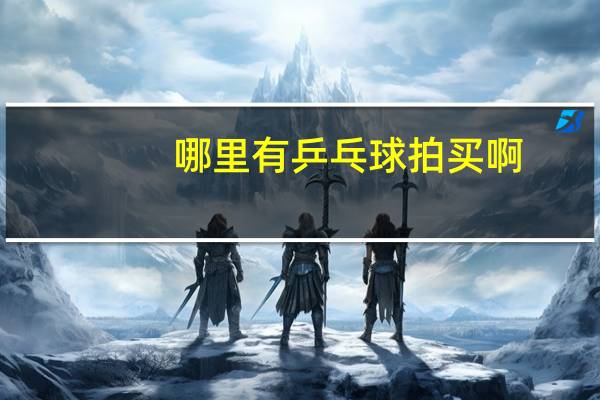 哪里有乒乓球拍买啊