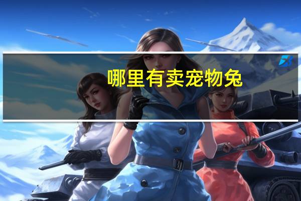 哪里有卖宠物兔