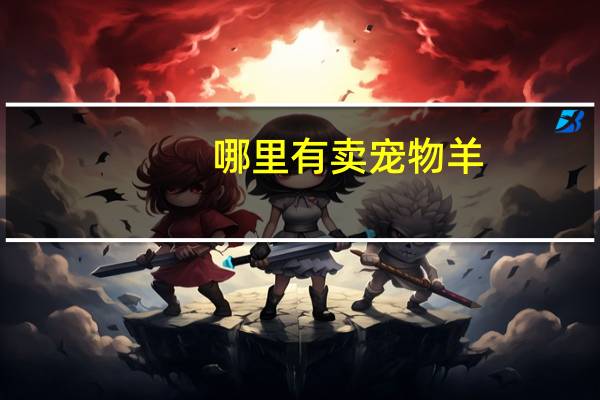 哪里有卖宠物羊